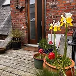 Charming Townhouse Σπίτι διακοπών *